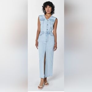 NWT Unpublished Wyatt Trucker Dress